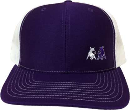 Picture of TwoBulls Mesh Cap - Purple & White